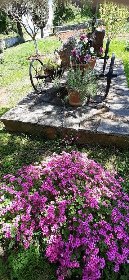 Kavran Lennida Studio Apartman With Free Parking מראה חיצוני תמונה